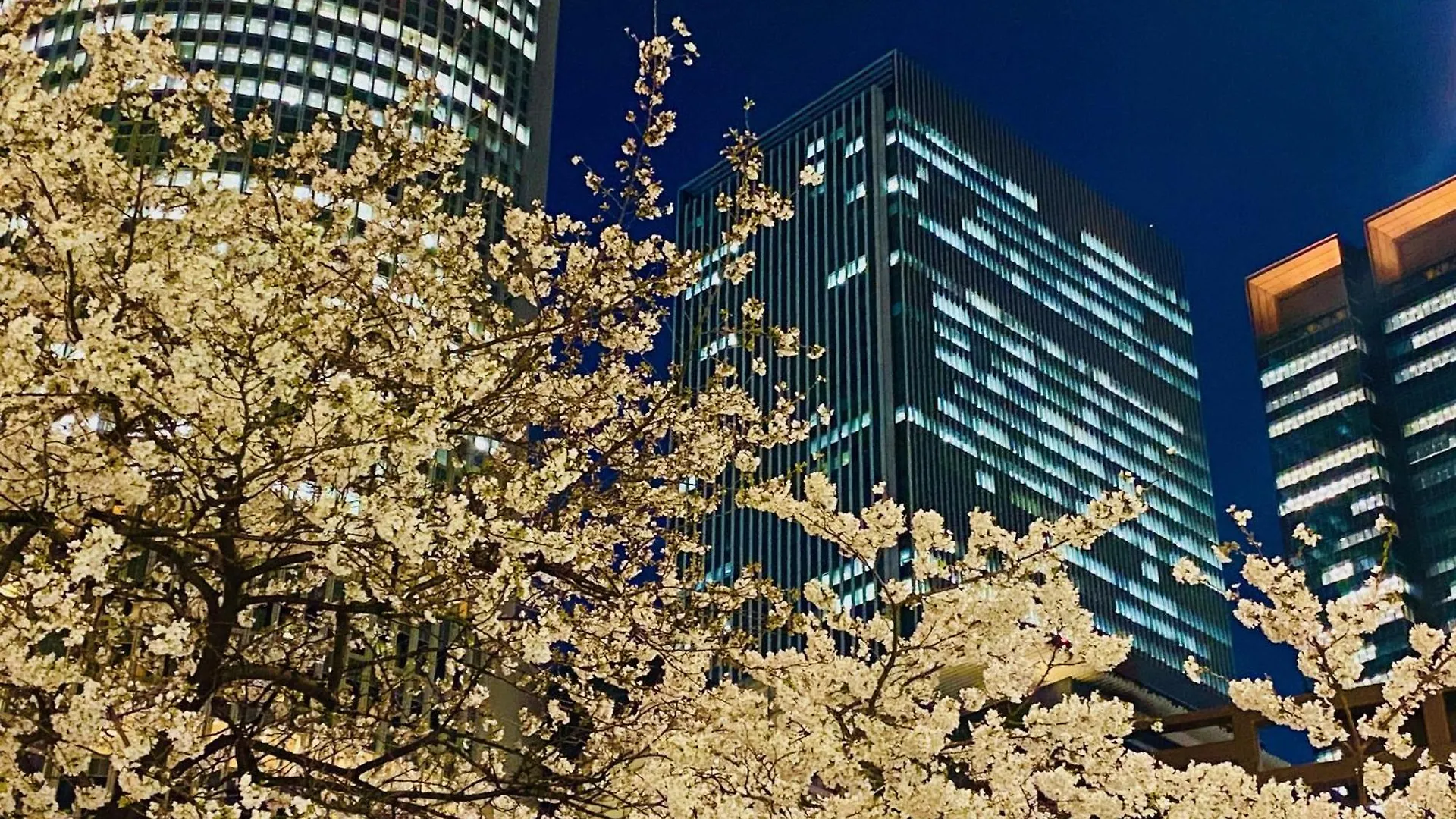 Nagoya Jr Gate Tower Hotel Japan